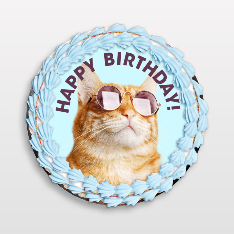 Cat With Glasses Happy Birthday Sponge Cake