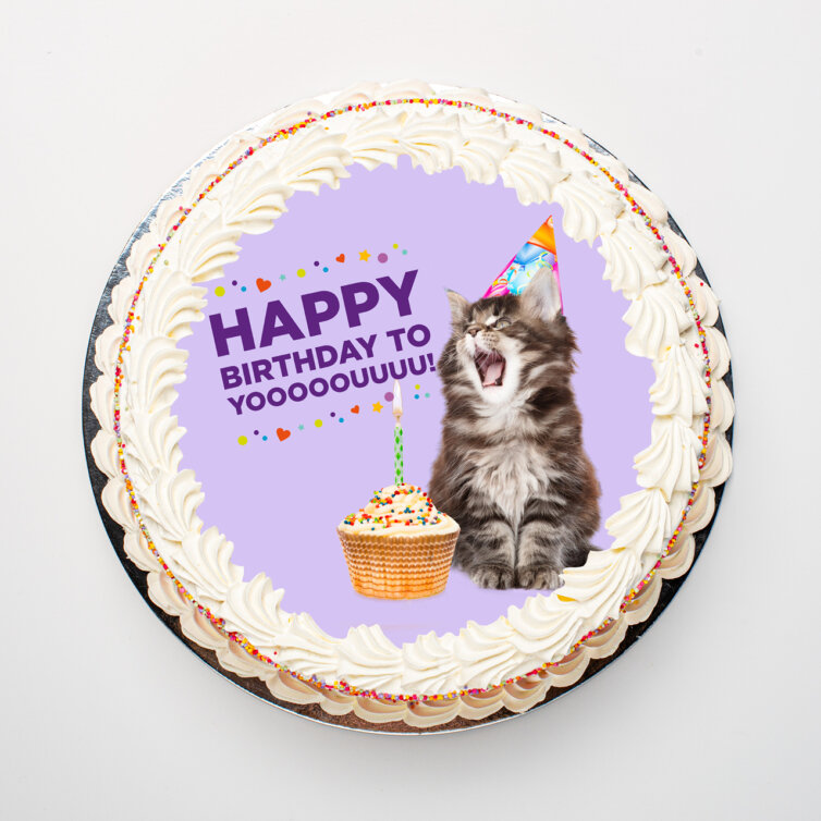 Happy Birthday Kitten Sponge Cake